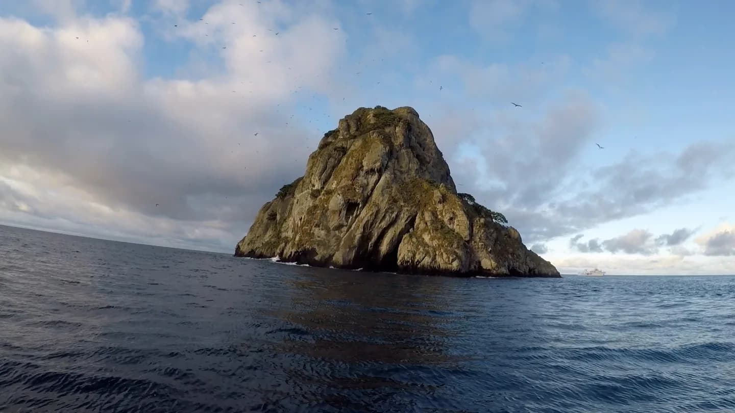 Un îlot rocheux couvert de végétation au large de l’île Cocos